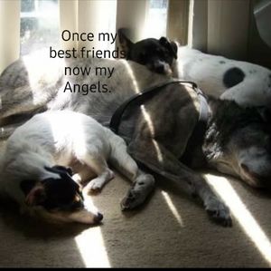 Meet your Posher, Obie